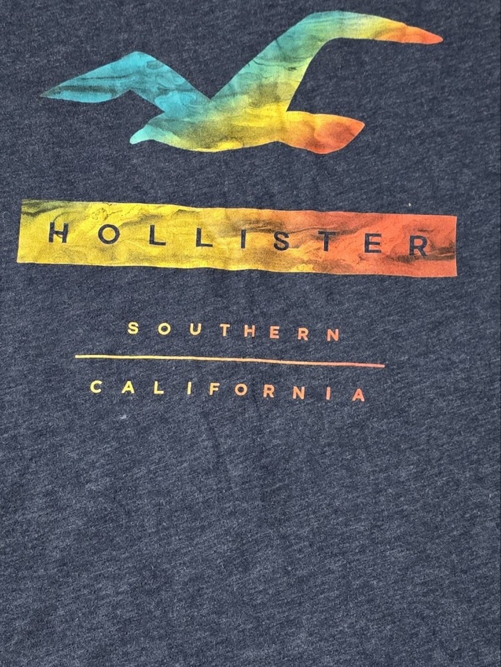 Hollister Navy Tee with Multicolor Gradient Seagull